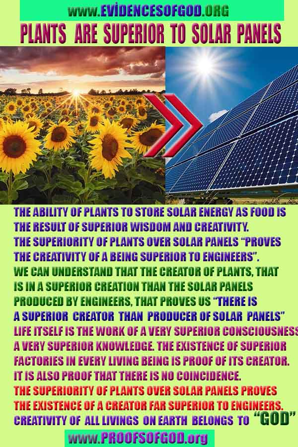 plants are superior than solar panels so there is superior one than human engineers